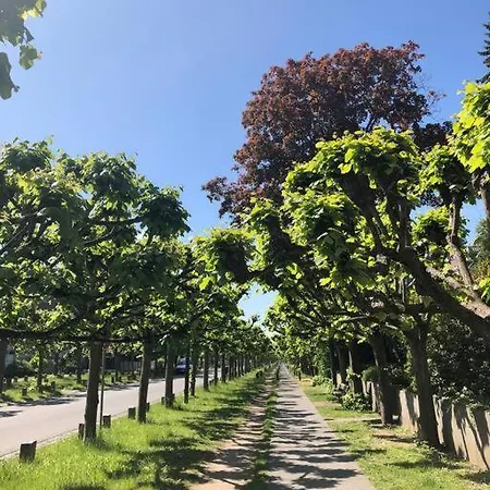Apartment Mit Balkon Direkt Am