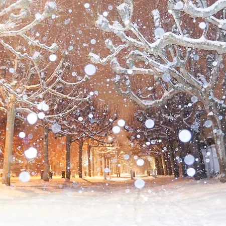 Apartment Mit Balkon Direkt Am Lübeck