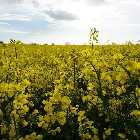 Apartmán Kaiserperle Mit Balkon Direkt Am *