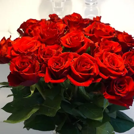 Kaiserperle Mit Balkon Direkt Am * Lübeck