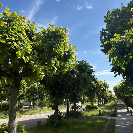 Kaiserperle Mit Balkon Direkt Am Lägenhet Lübeck